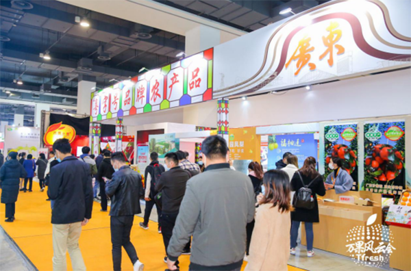 "Cantonese Brand" brand stunning Shanghai Beach, Guangdong autumn and winter boutique fruits and vegetables "attract attention"