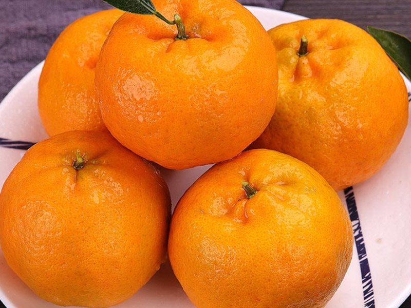 Ponkan mandarin
