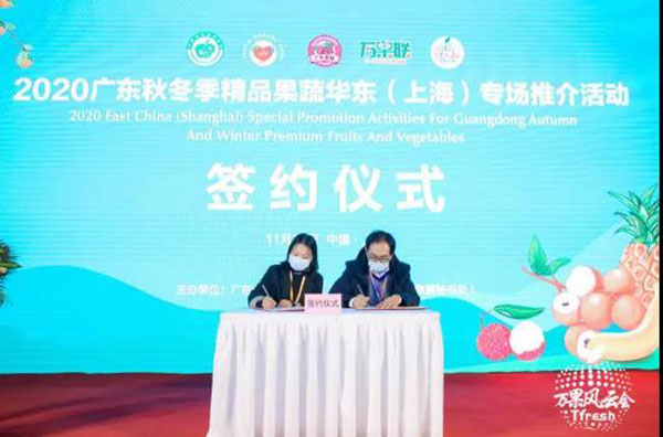 "Cantonese Brand" brand stunning Shanghai Beach, Guangdong autumn and winter boutique fruits and vegetables "attract attention"