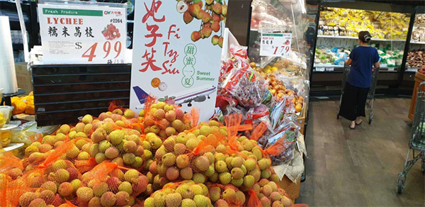 Litchi "Great Wheel" gathers 7 leading enterprises, Guangdong exports 3,400 tons of litchi this year