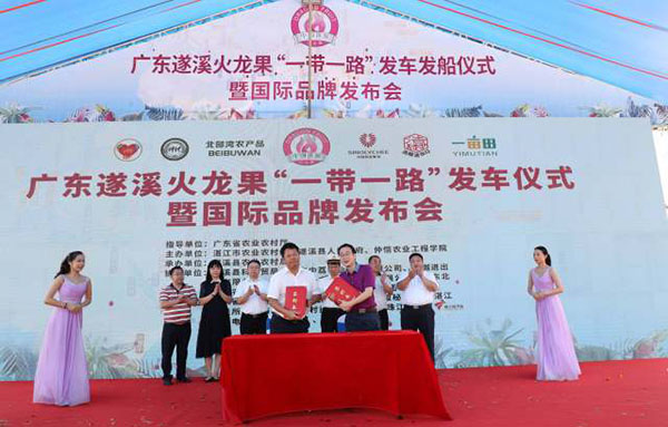 Guangdong Suixi Pitaya welcomes "Double Happiness": Achieving zero breakthrough in exports of Zhanjiang Customs and launching international brand logo