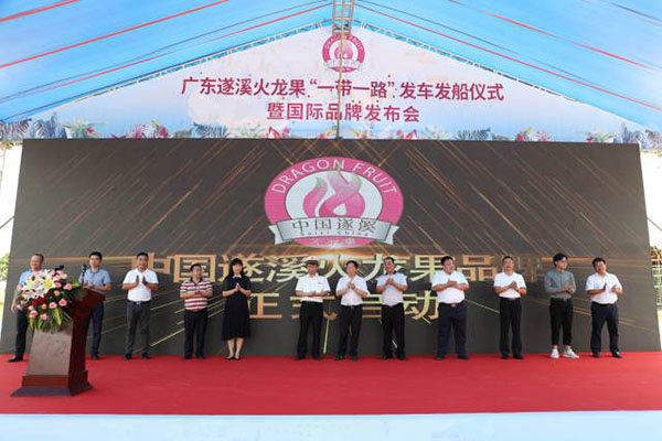 Guangdong Suixi Pitaya welcomes "Double Happiness": Achieving zero breakthrough in exports of Zhanjiang Customs and launching international brand logo